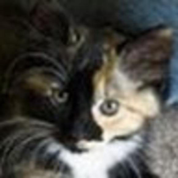 Meet your Posher, Mindy - Picture 1 of 1